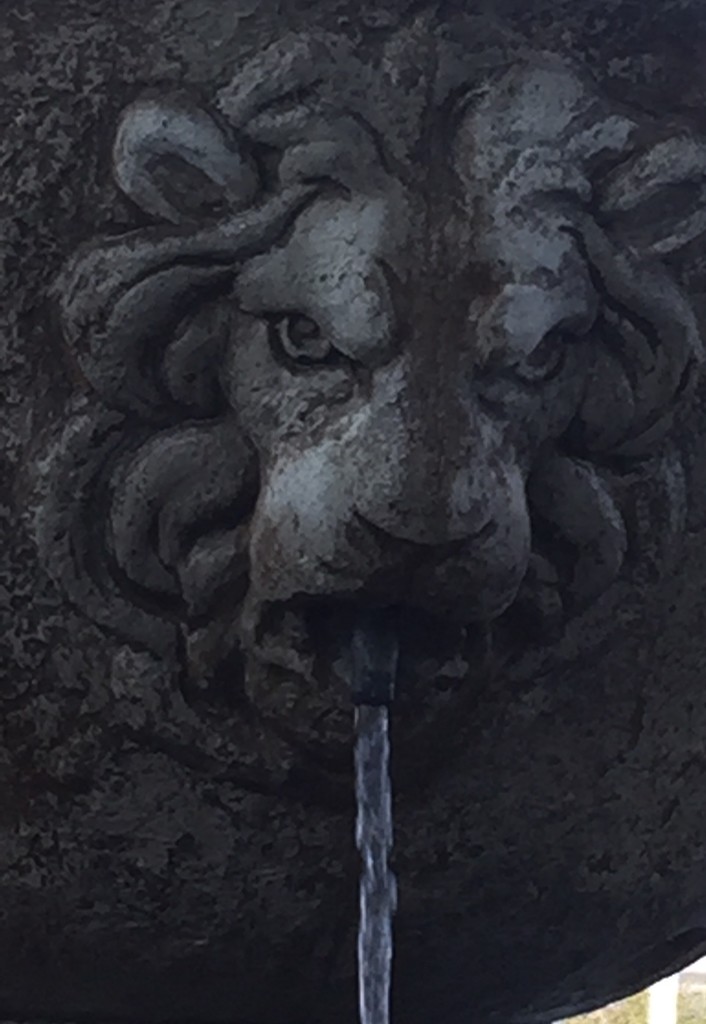 Lion head fountain by pfaith7