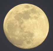 20th Apr 2016 - Almost full moon