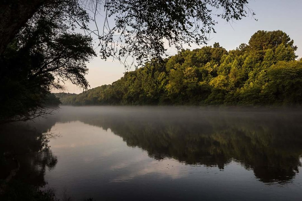 Morning Fog on the Chattahoochee River by darylo