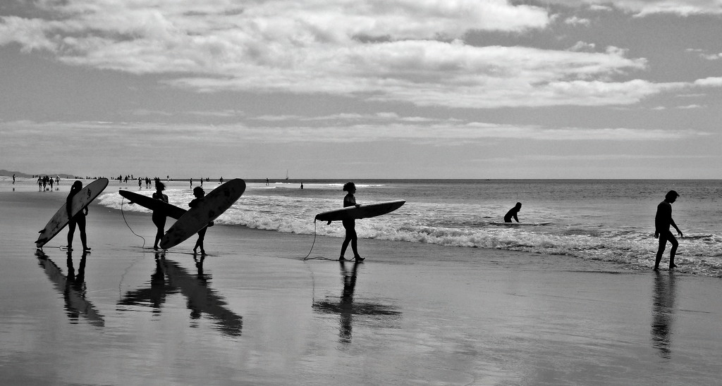 Contre Jour Surfers by phil_howcroft