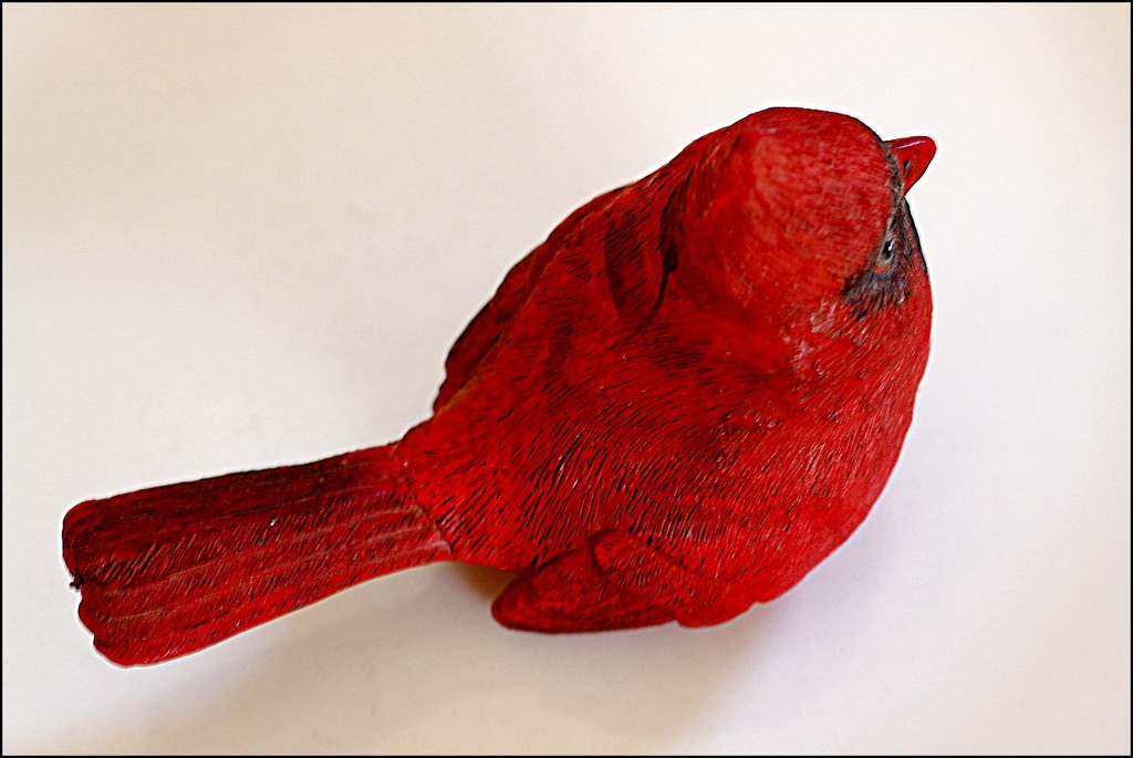 Bird 3 by olivetreeann