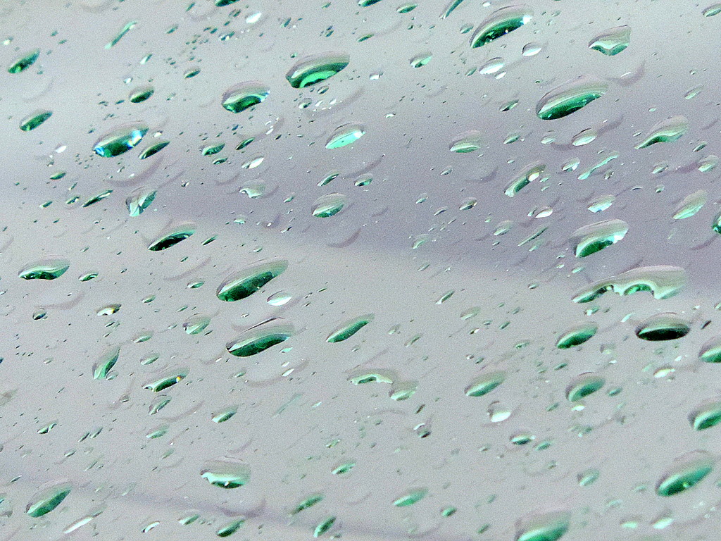 Raindrops keep falling on my windshield by homeschoolmom