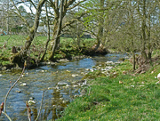 22nd Apr 2016 - The river in spring