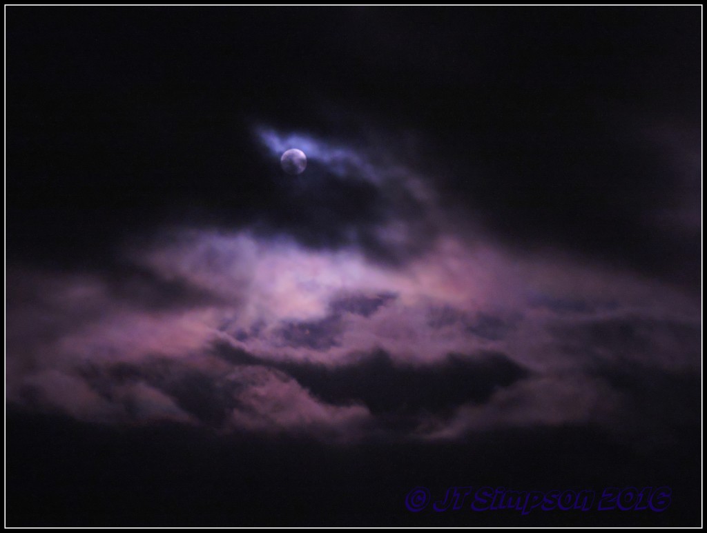 A Princely Purple Moon... by soylentgreenpics