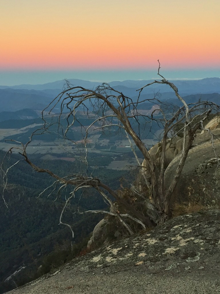 Sunset from Mt Buffalo by teodw