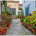 Side Street,Camara De Lobos,Madeira by carolmw