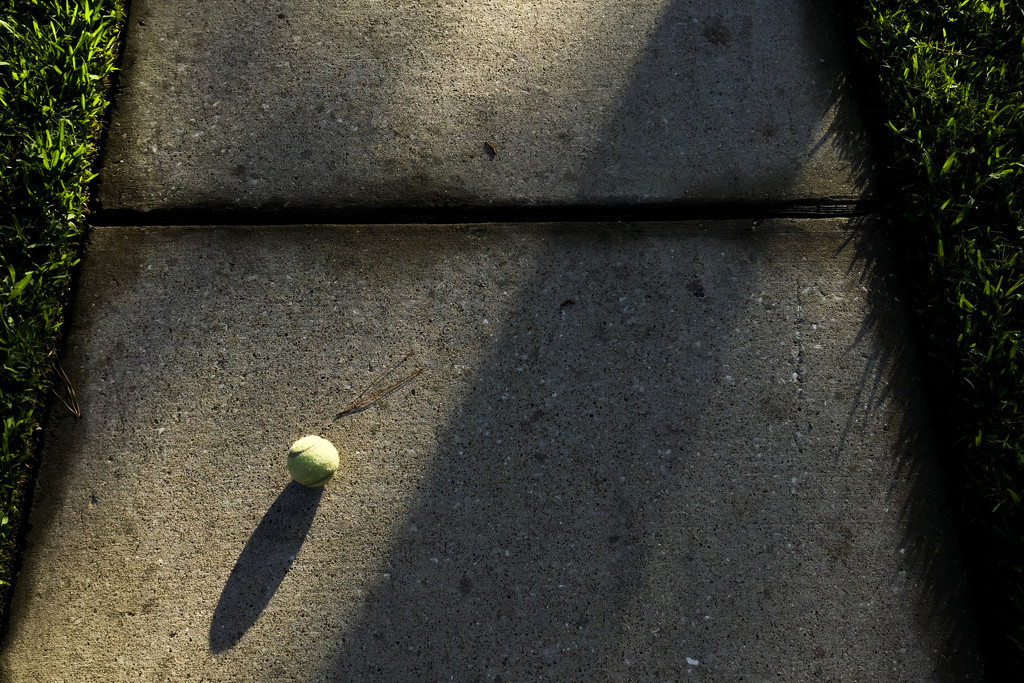 Tennis ball by erinhull