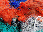 18th Apr 2016 - Coloured Nets