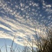 More Clouds by narayani