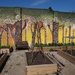 Nice Mural And Herb Garden by brillomick