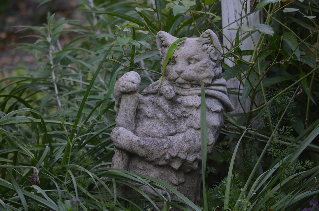 Gardening cat and lizard friend by congaree