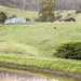 River Cottage Australia  by nicolecampbell
