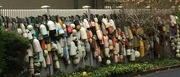 25th Apr 2016 - Fence full of floats