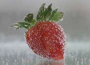 18th Apr 2016 - Strawberry Bubbles