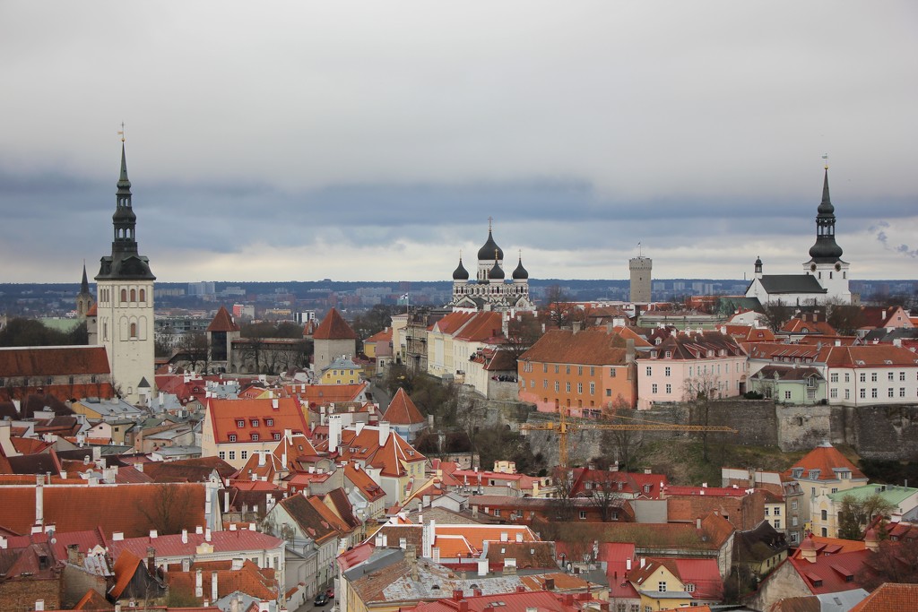 Tallinn Rooftops by jamibann