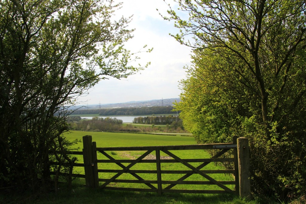 Rother Valley Country Park by oldjosh