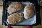 5th Dec 2010 - 365-Bread IMG_2421