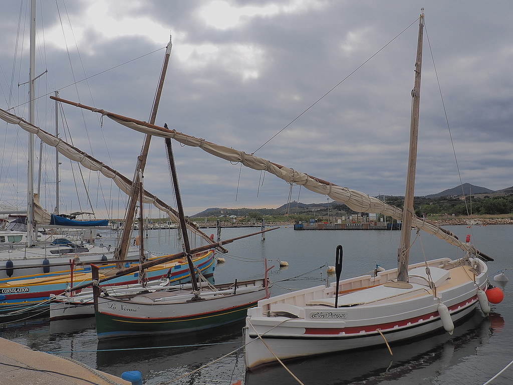 Traditional working boats at Argelès port by laroque