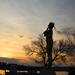 0416_1132 silhouette by pennyrae