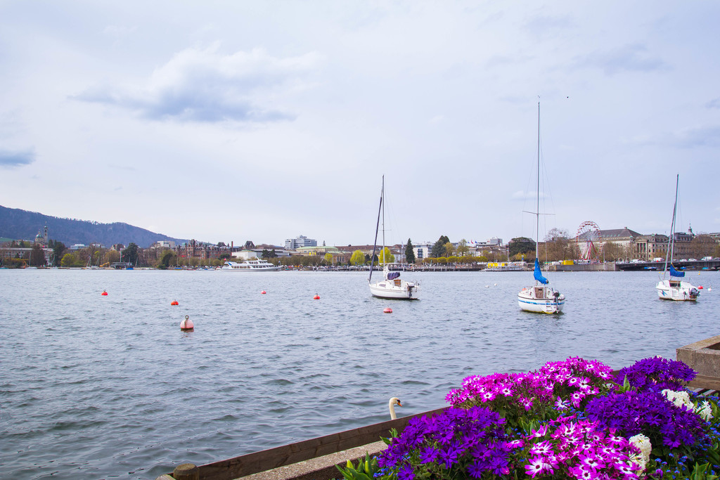 Lake Zurich #298 by ricaa
