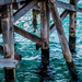 Tathra Jetty  by nicolecampbell