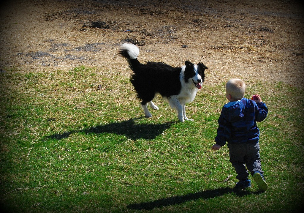 A Boy and His Dog by farmreporter