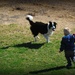 A Boy and His Dog by farmreporter