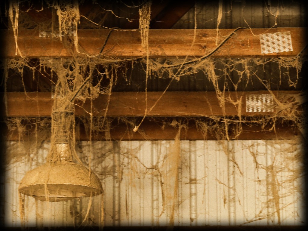 Cobwebs in the Barn by olivetreeann