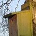 Birdbox by lellie