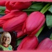 tulips for a lovely lady by quietpurplehaze