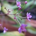 Taken in my back garden late this afternoon by loey5150