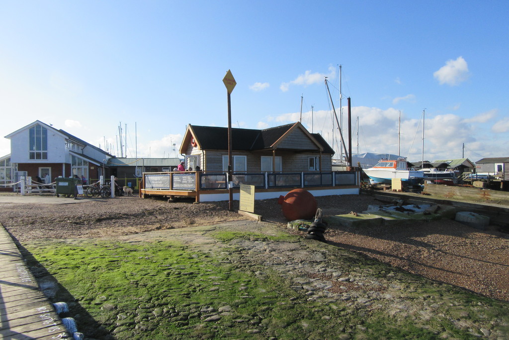 Winkles at The Ferry by lellie