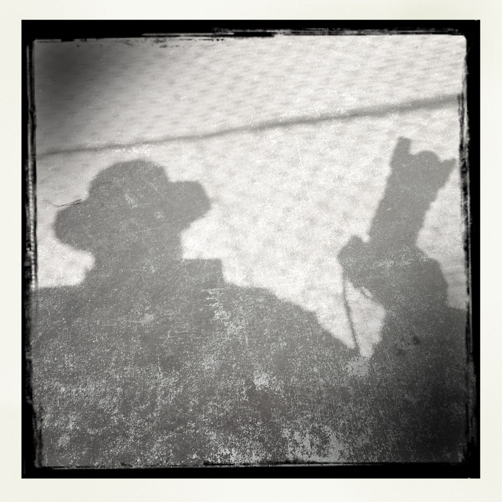 Shadow of My Former Self by jeffjones