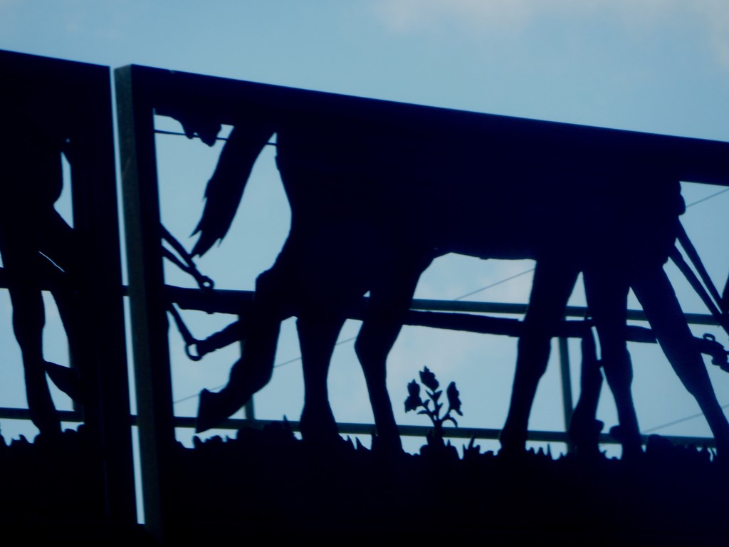 Olathe, KS  -- railroad overpass silhouette by mcsiegle