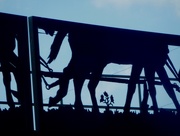 11th Apr 2016 - Olathe, KS  -- railroad overpass silhouette