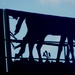 Olathe, KS  -- railroad overpass silhouette by mcsiegle