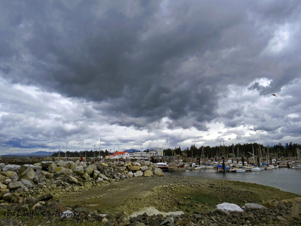 Storm Clouds over French Creek Marina by kathyo