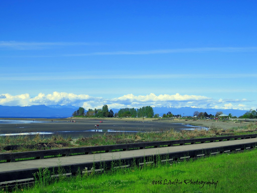 Parksville Beach by kathyo