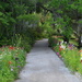 Garden path along the Ashley River, Magnolia Gardens, Charleston, SC by congaree