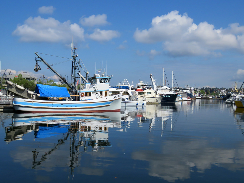 Fishermen's Terminal by seattlite