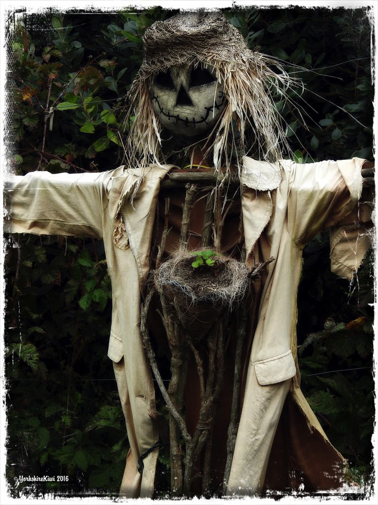 Scarecrow by yorkshirekiwi