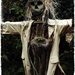 Scarecrow by yorkshirekiwi