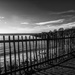 The fence by frequentframes