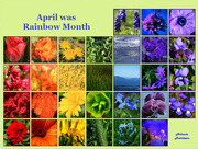 30th Apr 2016 - April Rainbow Calendar