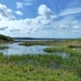  Wetlands Centre, Llanelli  by susiemc