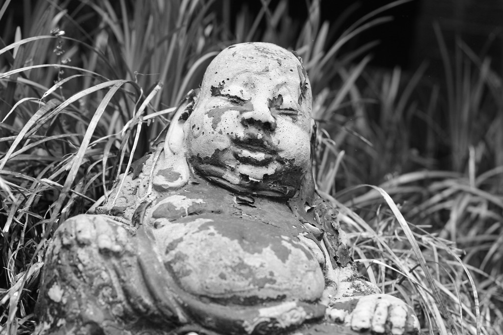 Buddha statue by scottmurr