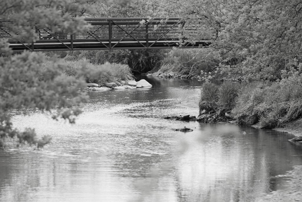Bridge Over Creek by randy23