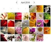 29th Apr 2016 - A month of flowers