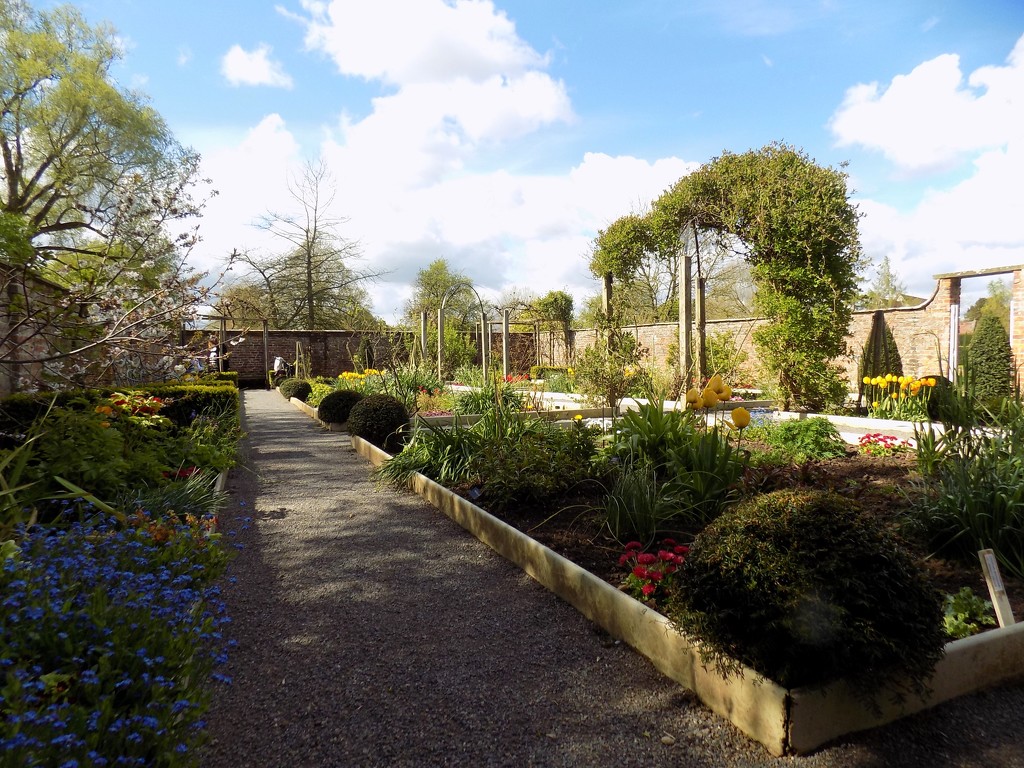 Westbury Court Gardens by flowerfairyann