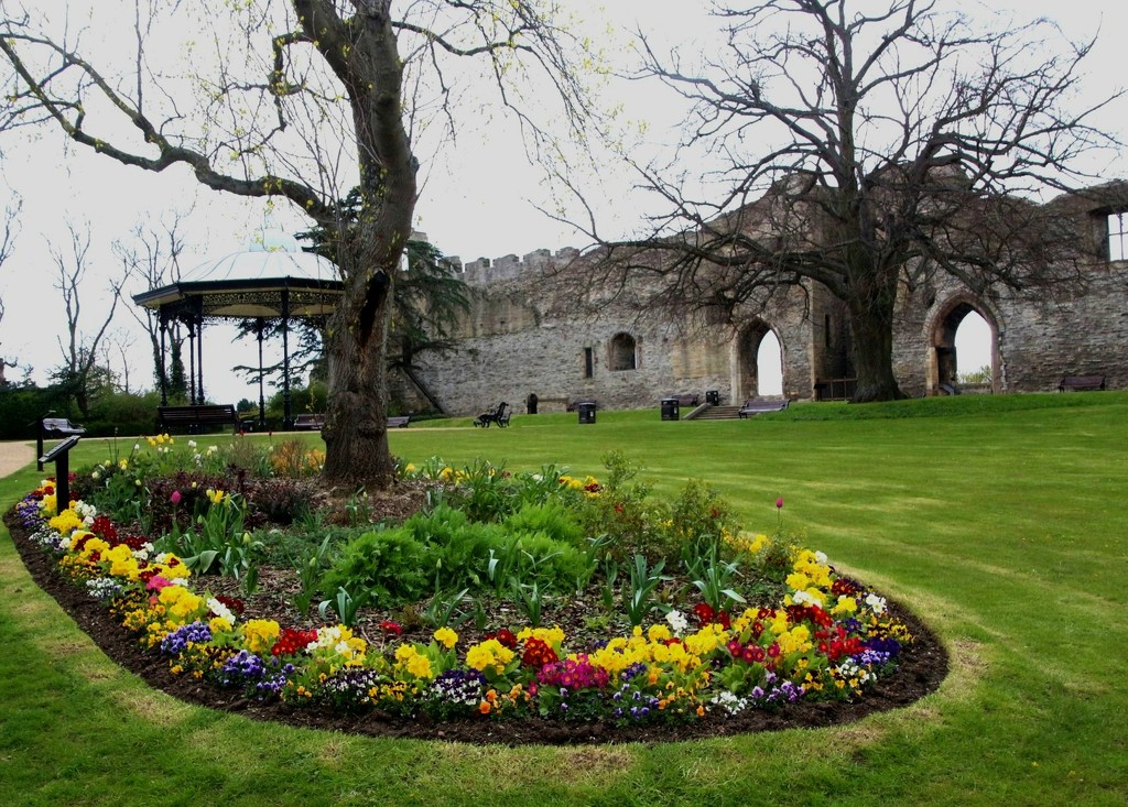 Spring flowers at Newark Castle by oldjosh